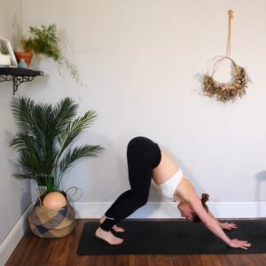 dynamic mat pilates