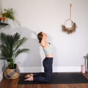 dynamic mat pilates
