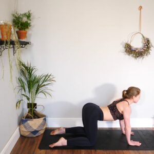 dynamic mat pilates
