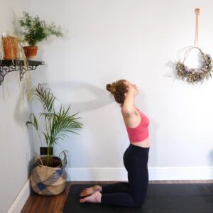 dynamic mat pilates