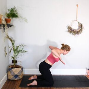 arm strength workout