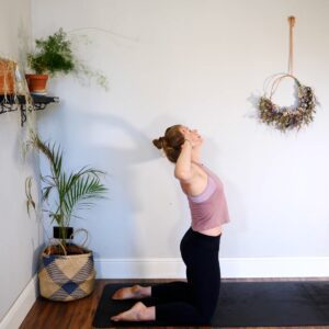full body dynamic mat pilates