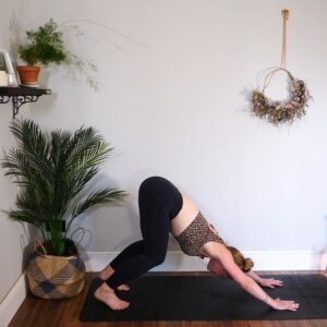 mobility