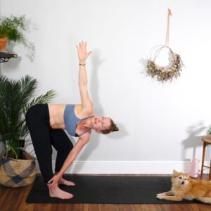 mobility sequence