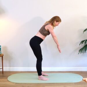 upper body workout hollie