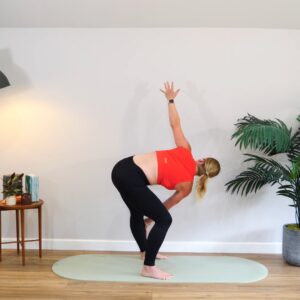 mobility